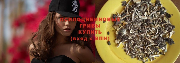 тгк Новокубанск