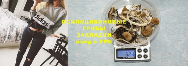 каннабис Новодвинск