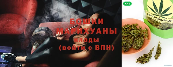 молекула духа Новозыбков