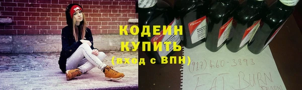молекула духа Новозыбков