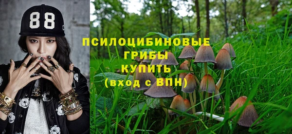 каннабис Новодвинск