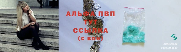 молекула духа Новозыбков