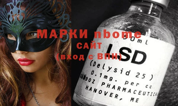 молекула духа Новозыбков