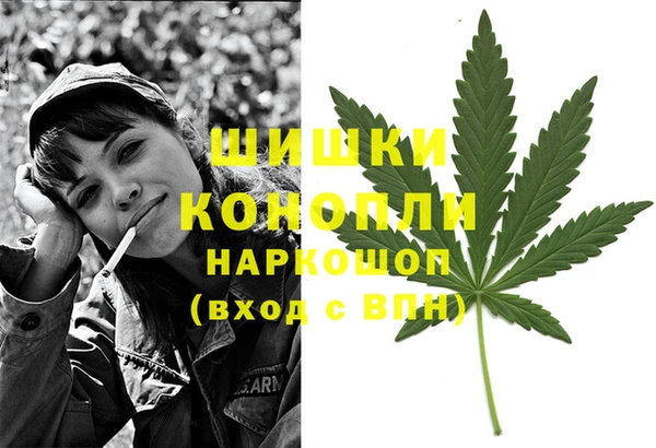 тгк Новокубанск