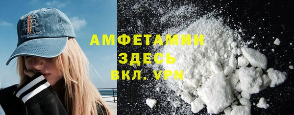 молекула духа Новозыбков