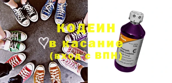молекула духа Новозыбков