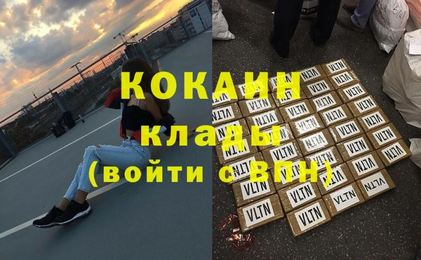 молекула духа Новозыбков
