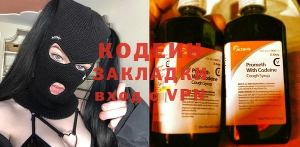 молекула духа Новозыбков