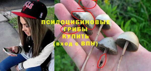тгк Новокубанск