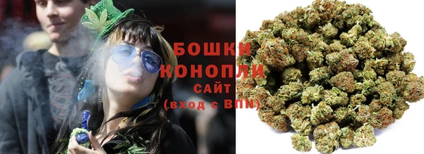 молекула духа Новозыбков