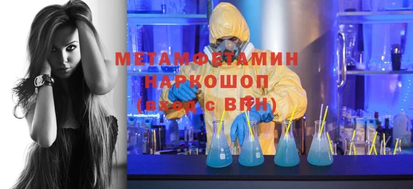 молекула духа Новозыбков