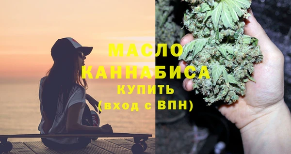 молекула духа Новозыбков