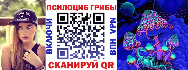 Псилоцибиновые грибы Psilocybine cubensis Каргат