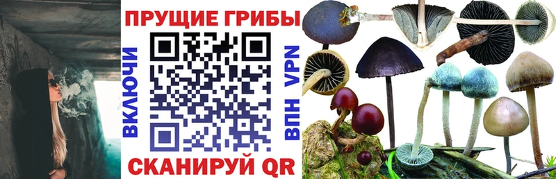 Псилоцибиновые грибы мухоморы  Каргат 